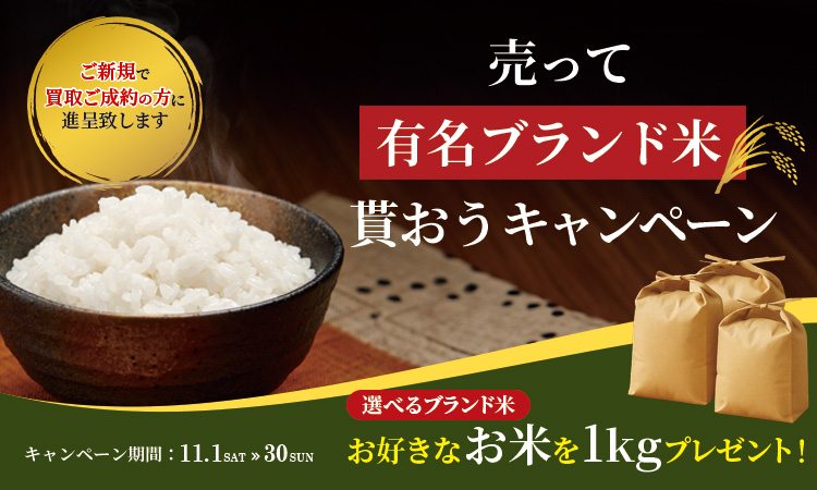 11月月間企画_スマホ版