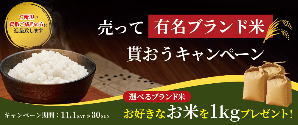 11月月間企画_PC版